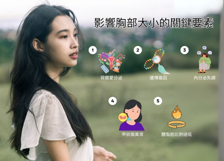 胸部變大原因？荷爾蒙、遺傳、體質，其實早有跡可循」